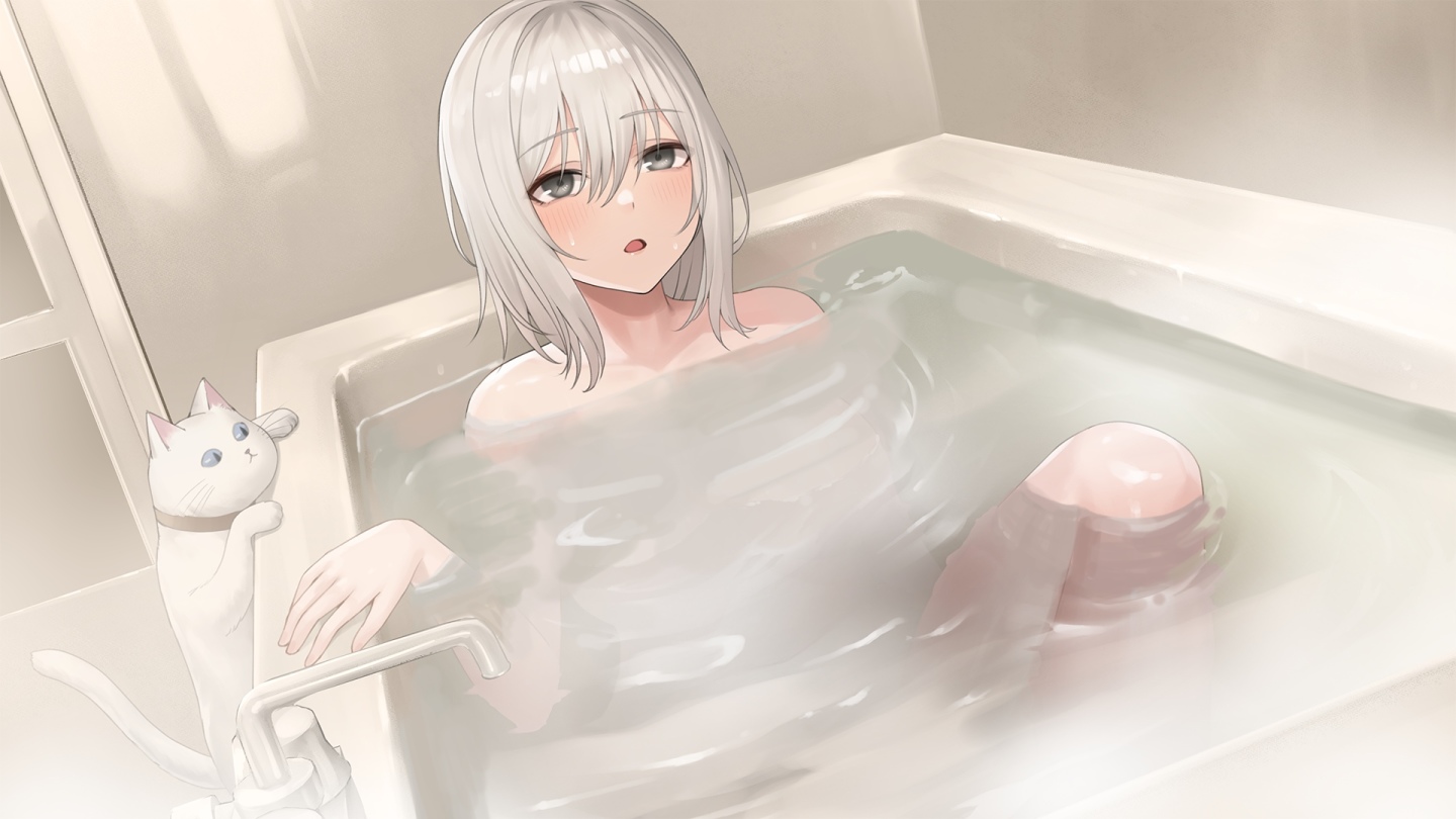 一般版
