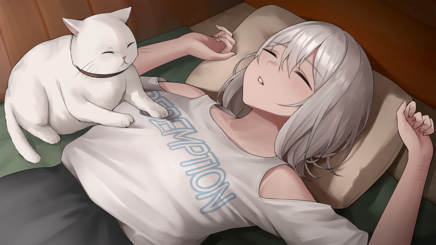 一般版