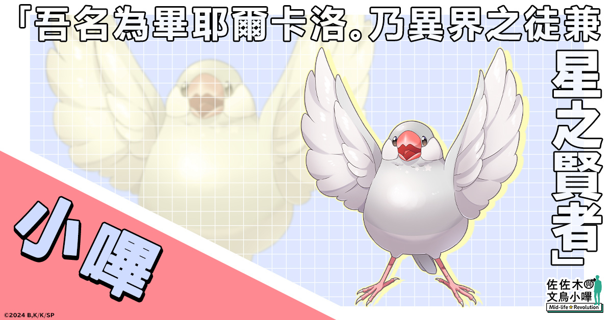 決定動畫化的超人氣作品《佐佐木與文鳥小嗶 Mid-life Revolution》將在G123首次登場！即日開放事前預約