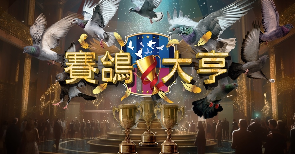 《賽鴿大亨》付費刪檔測試火熱啟動，邀請您體驗極致遊戲！