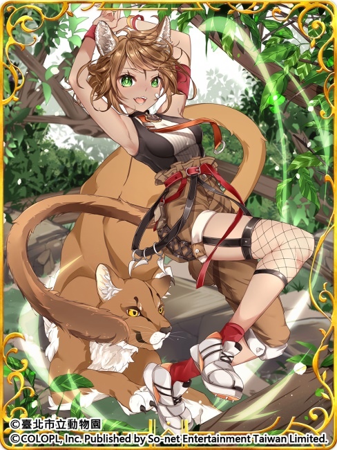 歡慶7週年！《問答RPG 魔法使與黑貓維茲》與《臺北市立動物園》跨界合作貓科角色與動物Q&A全新題型登場
