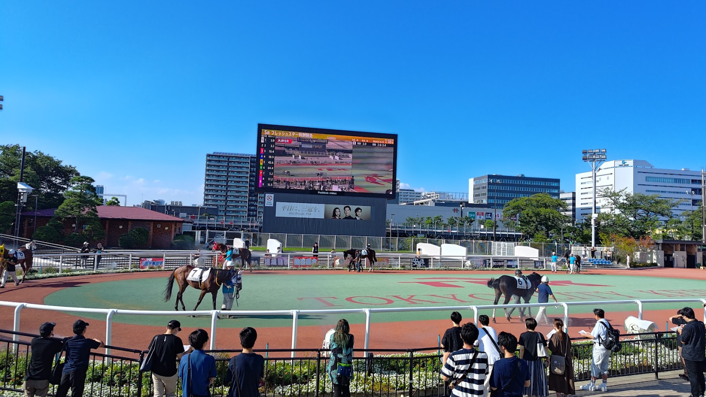 《賽馬娘Pretty Derby 熱血喧鬧大感謝祭！》點陣動畫展現馬娘活力，四大競技模式與好友同樂
