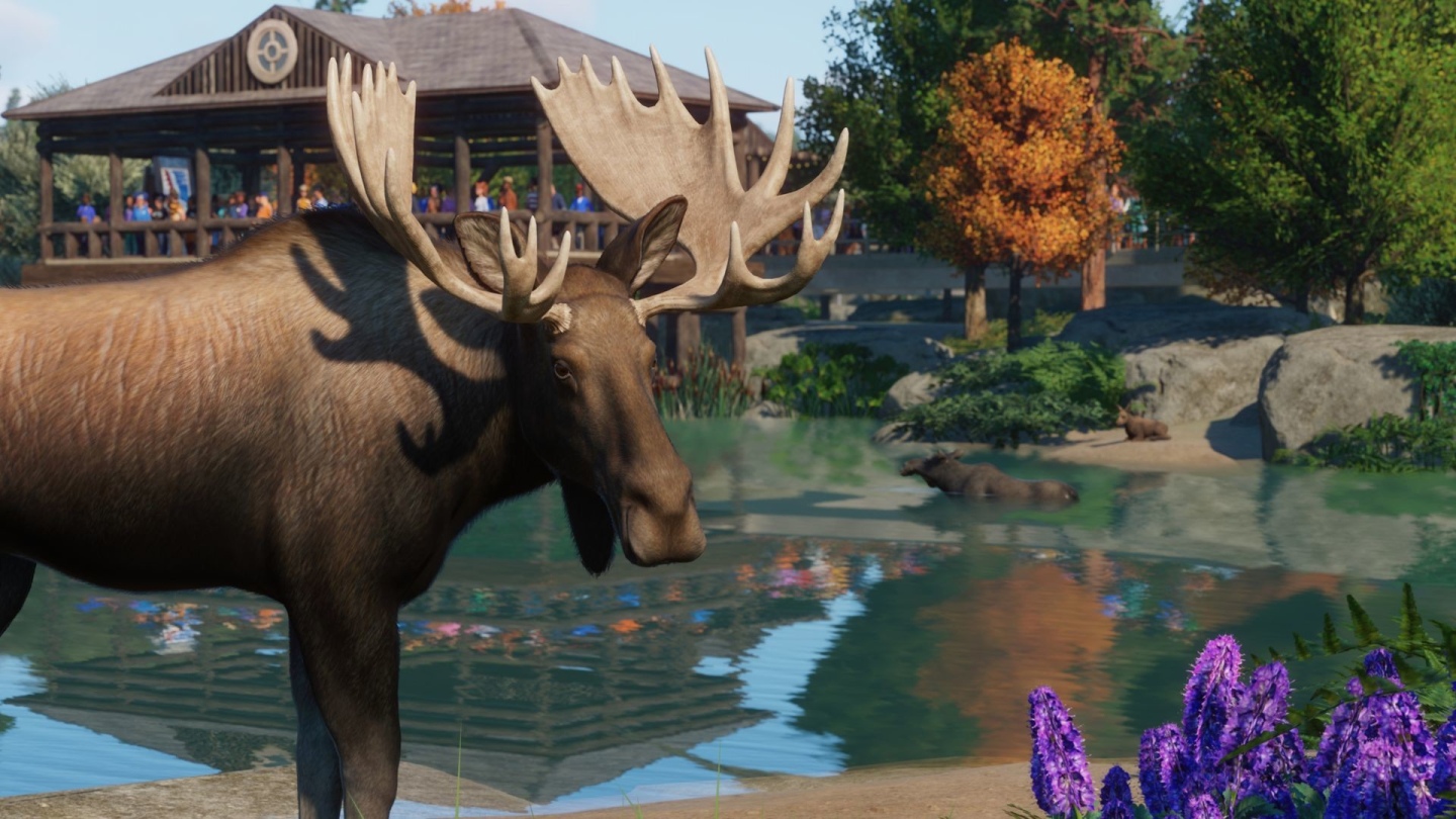 《Planet Zoo 動物園之星》北美動物登場！新 DLC「北美洲動物套件」正式推出