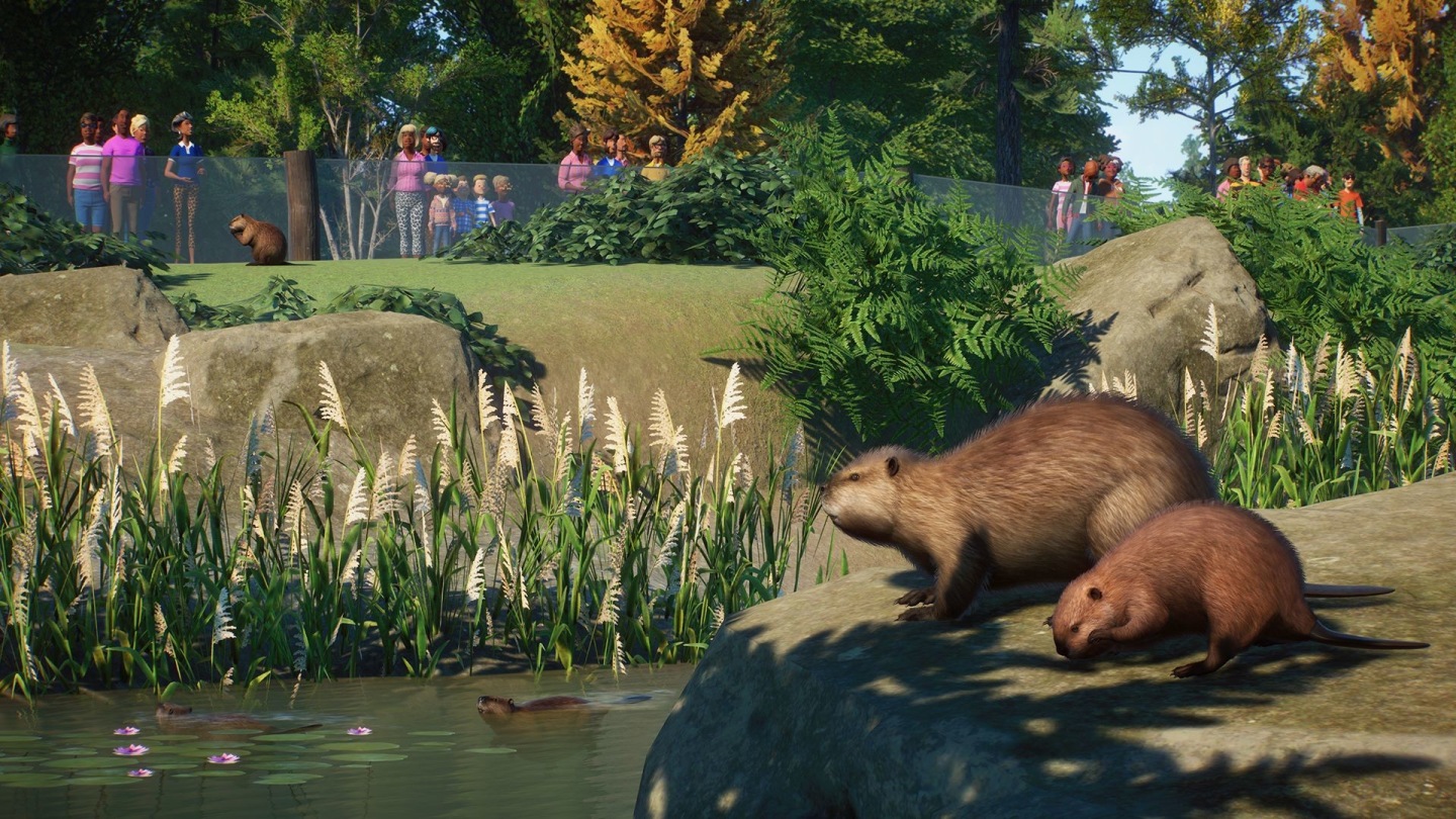 《Planet Zoo 動物園之星》北美動物登場！新 DLC「北美洲動物套件」正式推出