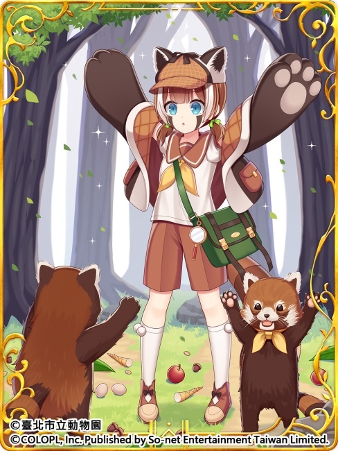 歡慶7週年！《問答RPG 魔法使與黑貓維茲》與《臺北市立動物園》跨界合作貓科角色與動物Q&A全新題型登場