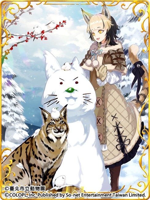 歡慶7週年！《問答RPG 魔法使與黑貓維茲》與《臺北市立動物園》跨界合作貓科角色與動物Q&A全新題型登場