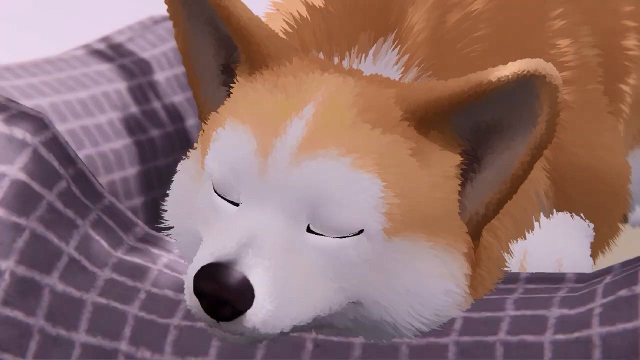 暖心冒險《My Little Puppy》免費體驗版上線,與柯基主角一起踏上尋主之旅