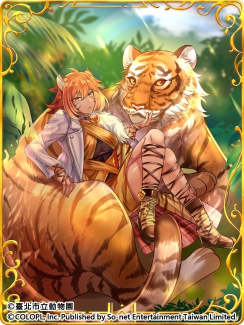 歡慶7週年！《問答RPG 魔法使與黑貓維茲》與《臺北市立動物園》跨界合作貓科角色與動物Q&A全新題型登場