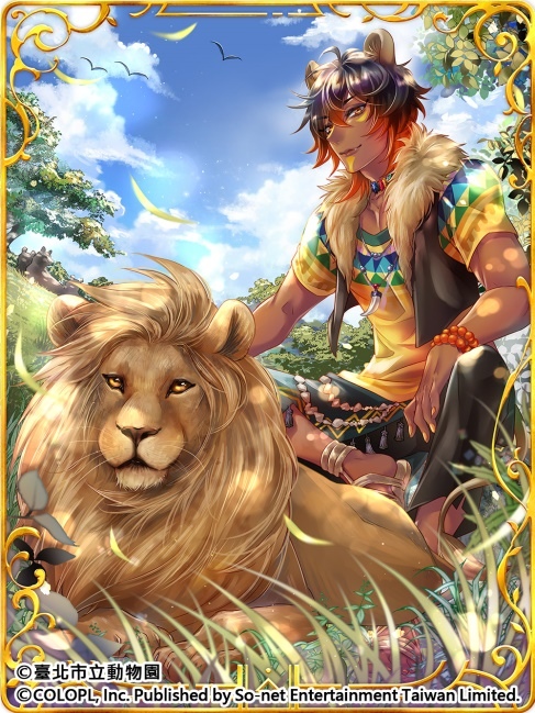 歡慶7週年！《問答RPG 魔法使與黑貓維茲》與《臺北市立動物園》跨界合作貓科角色與動物Q&A全新題型登場