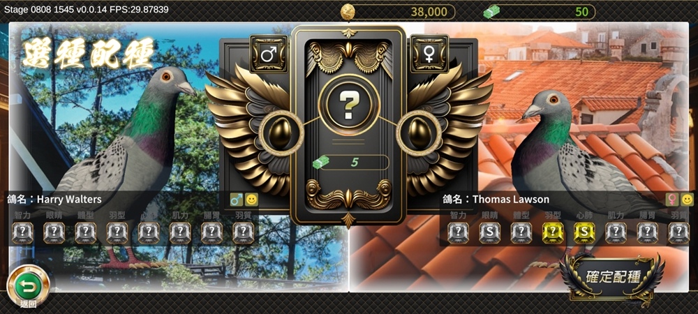 以鴿子為主角的養成遊戲《賽鴿大亨》震撼登場！將於第四季登陸手機雙平台