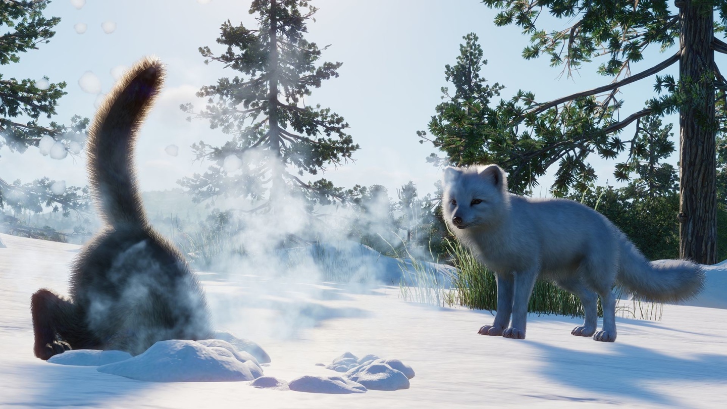 《Planet Zoo 動物園之星》北美動物登場！新 DLC「北美洲動物套件」正式推出