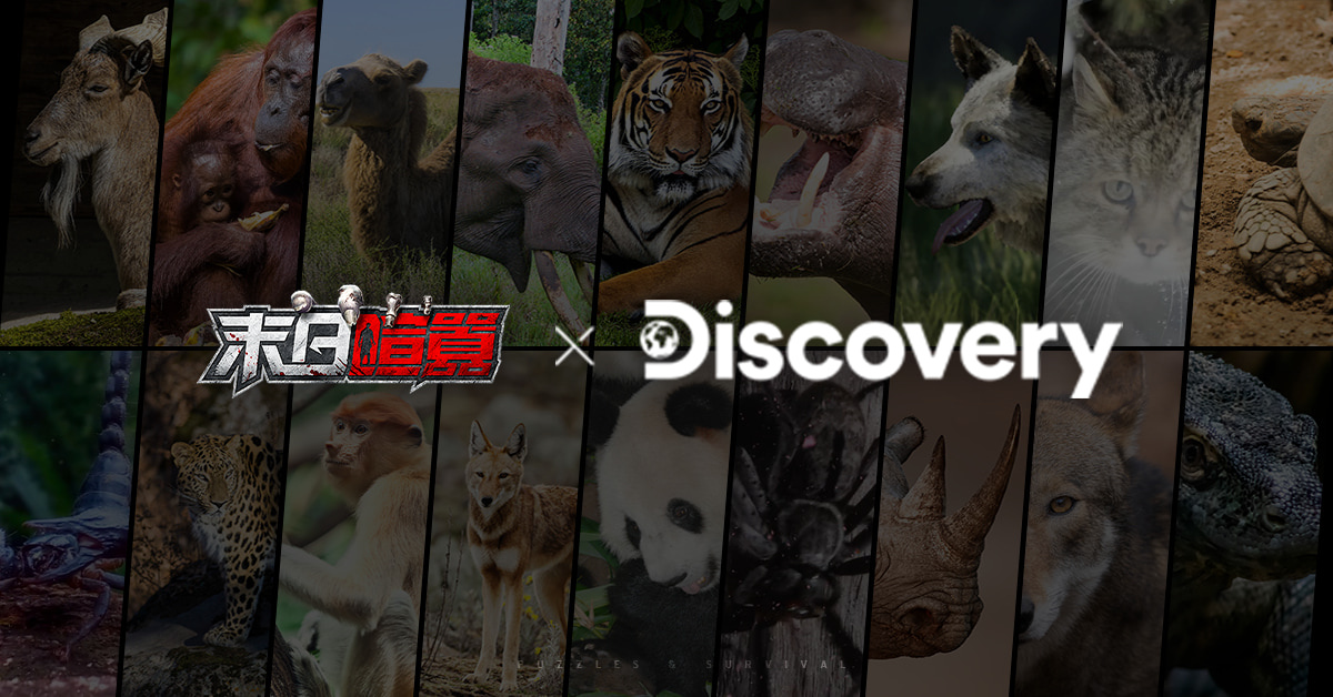 《末日喧囂》聖誕節限定活動開啟！同步釋出Discovery合作TVC和全新CG