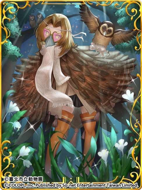 歡慶7週年！《問答RPG 魔法使與黑貓維茲》與《臺北市立動物園》跨界合作貓科角色與動物Q&A全新題型登場