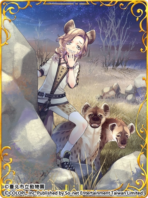歡慶7週年！《問答RPG 魔法使與黑貓維茲》與《臺北市立動物園》跨界合作貓科角色與動物Q&A全新題型登場