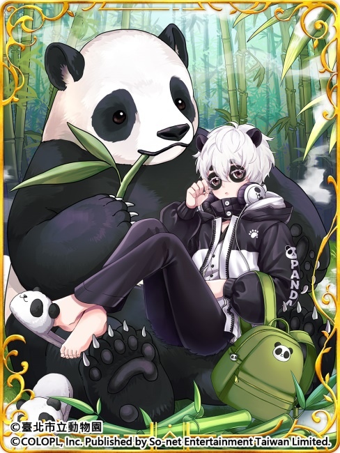 歡慶7週年！《問答RPG 魔法使與黑貓維茲》與《臺北市立動物園》跨界合作貓科角色與動物Q&A全新題型登場