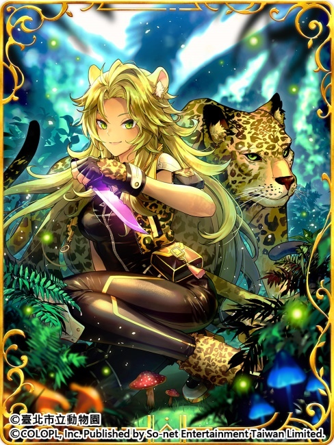 歡慶7週年！《問答RPG 魔法使與黑貓維茲》與《臺北市立動物園》跨界合作貓科角色與動物Q&A全新題型登場