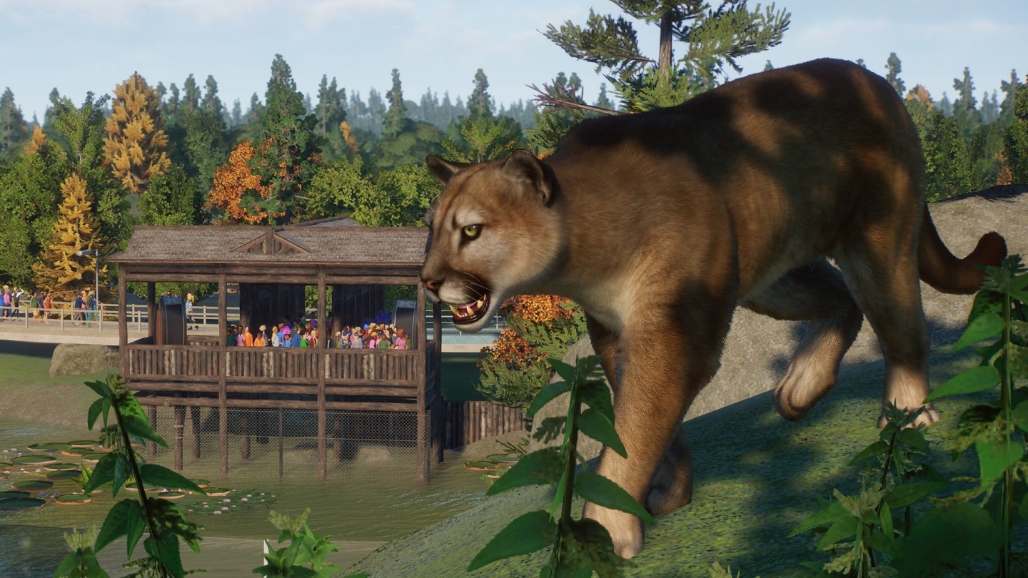 《Planet Zoo 動物園之星》北美動物登場！新 DLC「北美洲動物套件」正式推出
