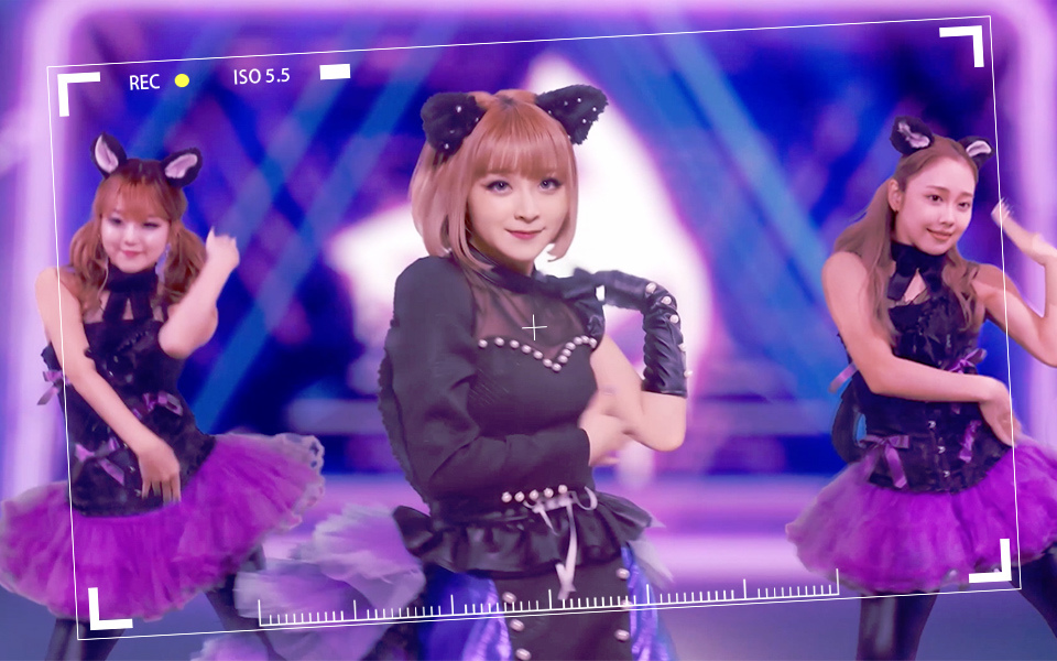 《貓之城》X GARNiDELiA合作印象曲上線 來聽聽貓貓的獨佔宣言吧！